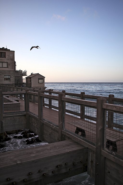 Monterey-web.jpg